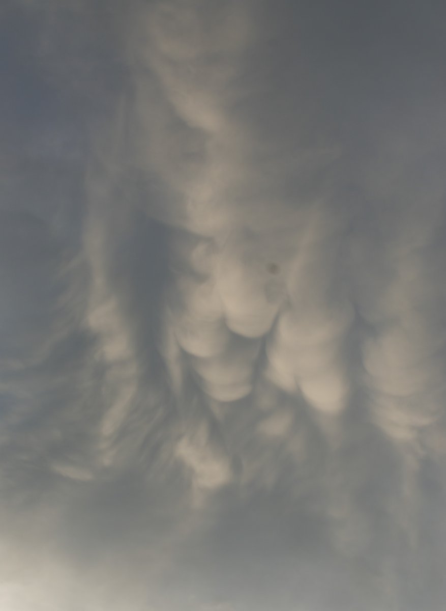 ronaldvanzijl's tweet image. 20/07/2025 – NL – Skylapse (W)
4K
120x
20:30 – 23:00 h
@Demo2020cracy @Elizabe32413720 @TexMericana @Raggedyedge1 @DELTA9_DELTA9 @BenKnight1980 @druid10 @IonisedSkyWatch @Clearskiesinit @SaskiaHeijden @ImagesCoast @OpChemtrails @Chemtrail101 @LegendreKristy @nogps1