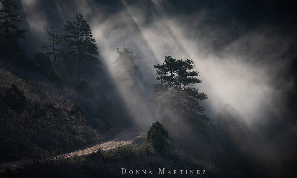DMartinezImages's tweet image. Fight me 👊🏻
#PhotographyIsArt
“Divine Moments”
Thankful for the collection by @bryanminear