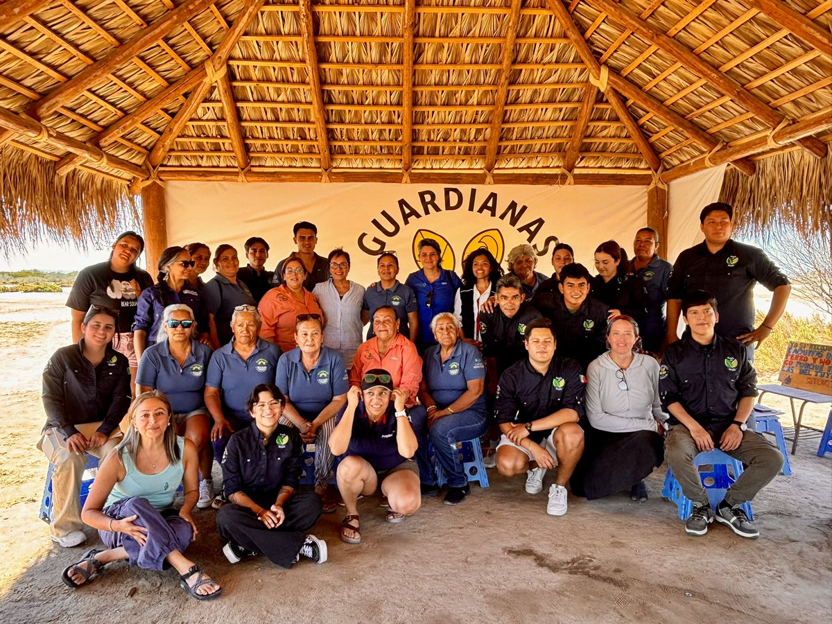 Las Guardianas del Conchalito, como otras mujeres en México, lideran la restauración ambiental y comunitaria enfrentando barreras patriarcales, mientras construyen proyectos sostenibles y modelos de gestión con enfoque inclusivo, colaborativo y de empoderamiento femenino.
🧵1/3