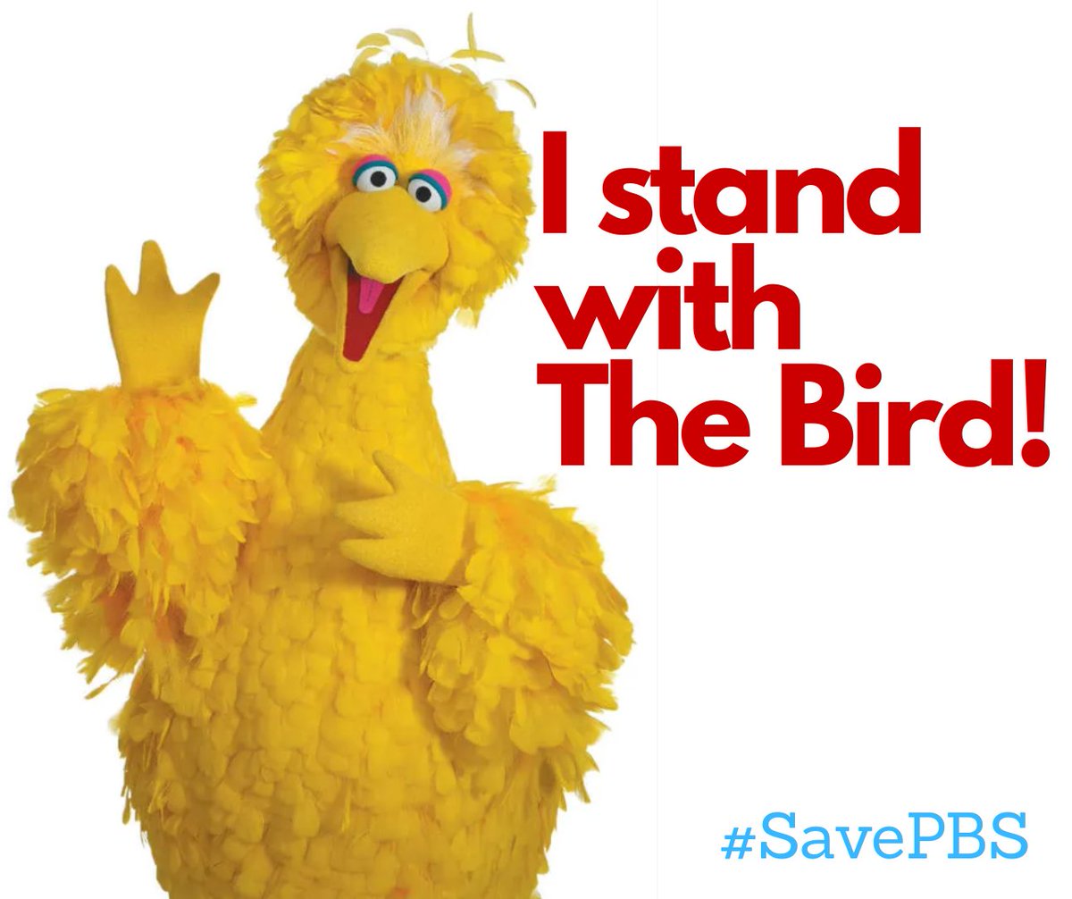 E20Launderette's tweet photo. I stand with the Bird❤️ #SavePBS #SaveNPR #SavePublicMedia @TheDemocrats @HouseDemocrats @SenateDems @SenateGOP #MisterRogersWouldBePissed https://t.co/RlTc7UPnP7