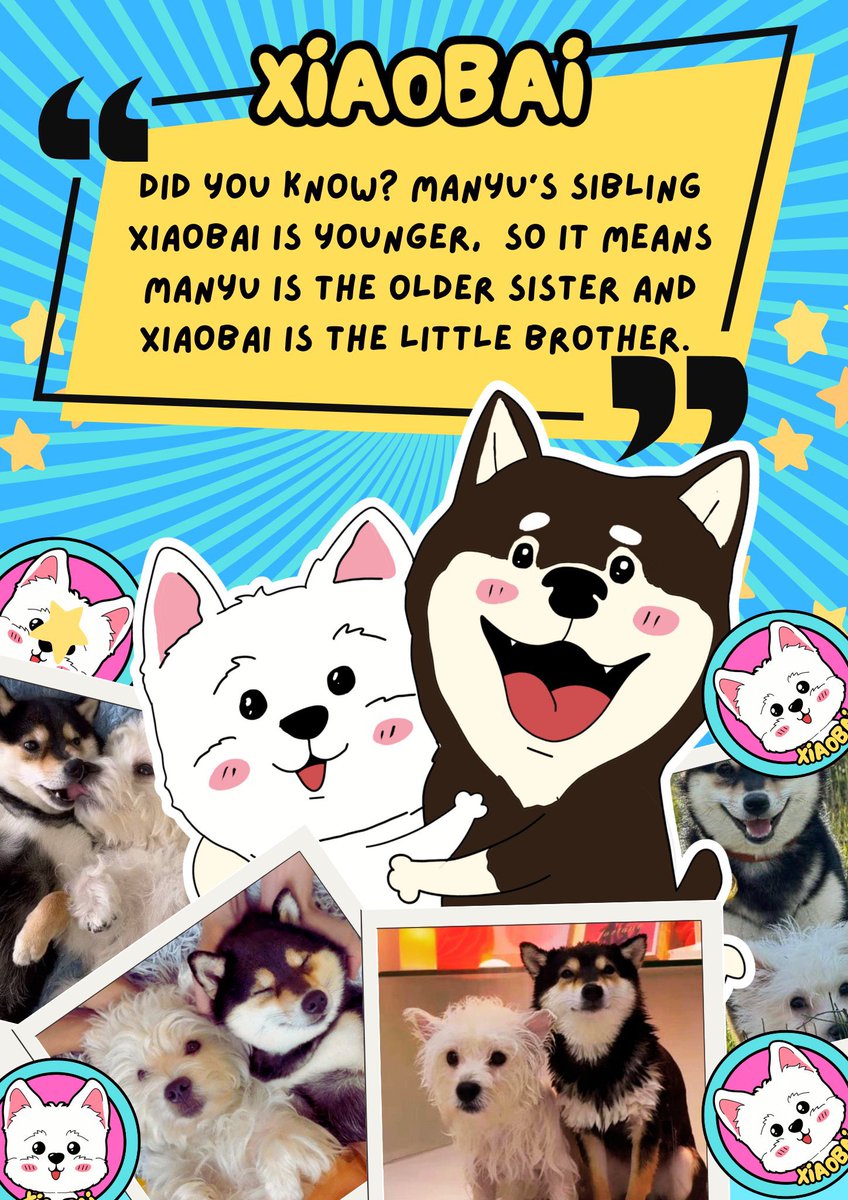 $XIAOBAI 🐾 — Brother of $MANYU

ATH: $3M → dipped to $500K → now back at $1.5M+ MC 📈
While price dropped, holder count kept growing: now 1900+ 🚀
1800+ active in TG
Verified on Etherscan ✅
Listed on CoinGecko 📊
No devs — just us, the community

Check it out:
X: