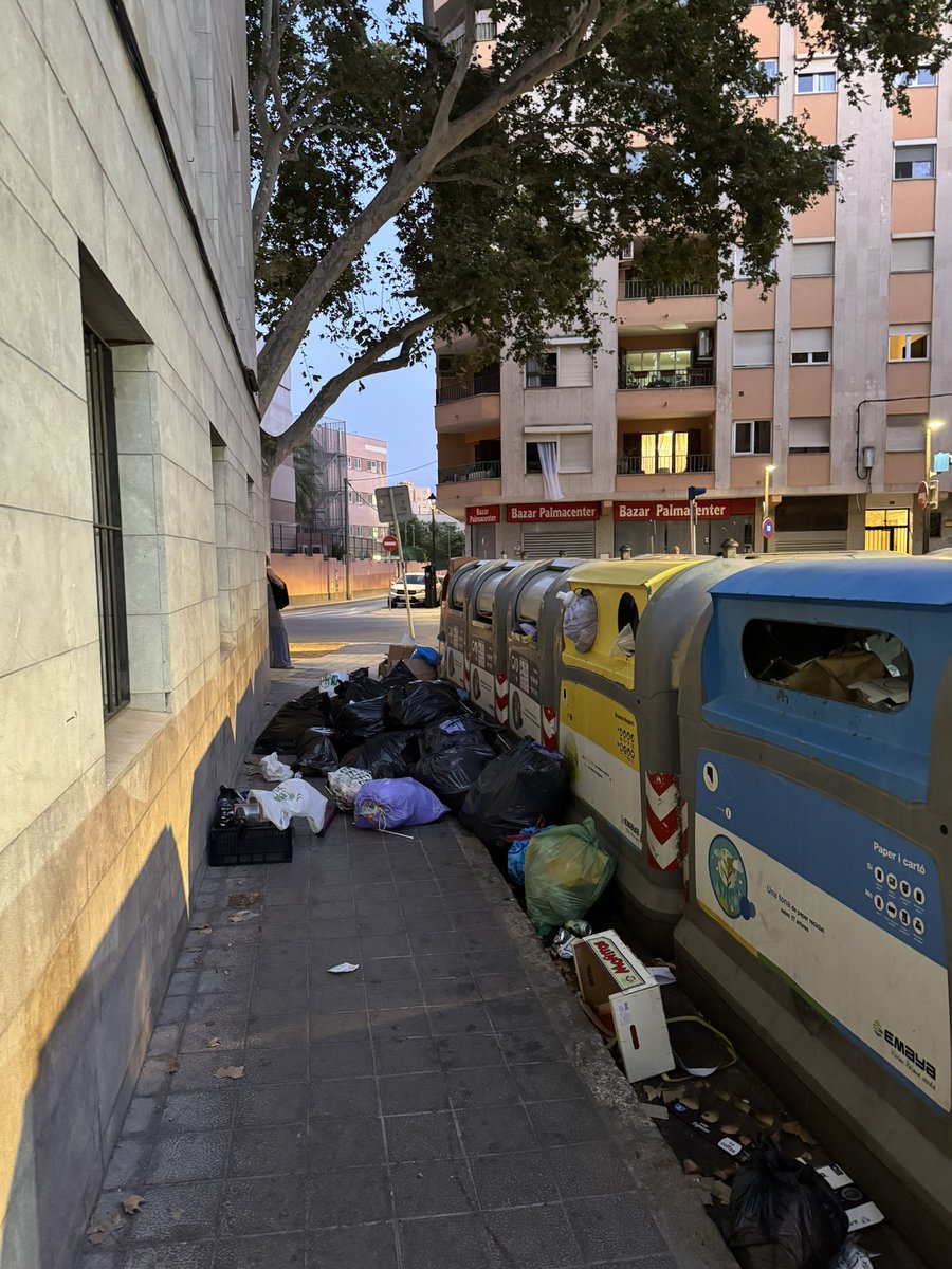 Miquel Bennasar Veny (@miquelbennasar) on Twitter photo Palma més neta que mai <a href="/JaimeMartinez/">Jaime Martínez Llabrés</a> <a href="/ajuntpalma/">Ajuntament de Palma</a> <a href="/MESperPalma/">MÉS per Palma</a> <a href="/PSOEPalma/">PSOE Palma /❤️</a> cada dia ple de basura, males olors i rates Palma més neta que mai <a href="/JaimeMartinez/">Jaime Martínez Llabrés</a> <a href="/ajuntpalma/">Ajuntament de Palma</a> <a href="/MESperPalma/">MÉS per Palma</a> <a href="/PSOEPalma/">PSOE Palma /❤️</a> cada dia ple de basura, males olors i rates