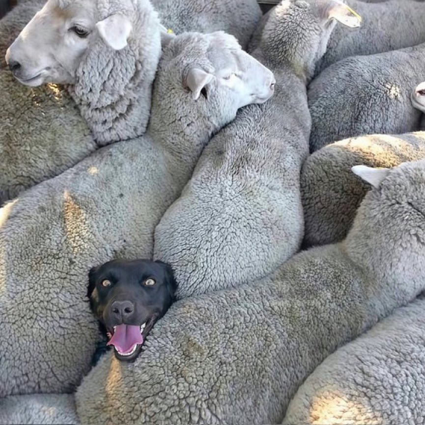 Crypto Tea tweet media