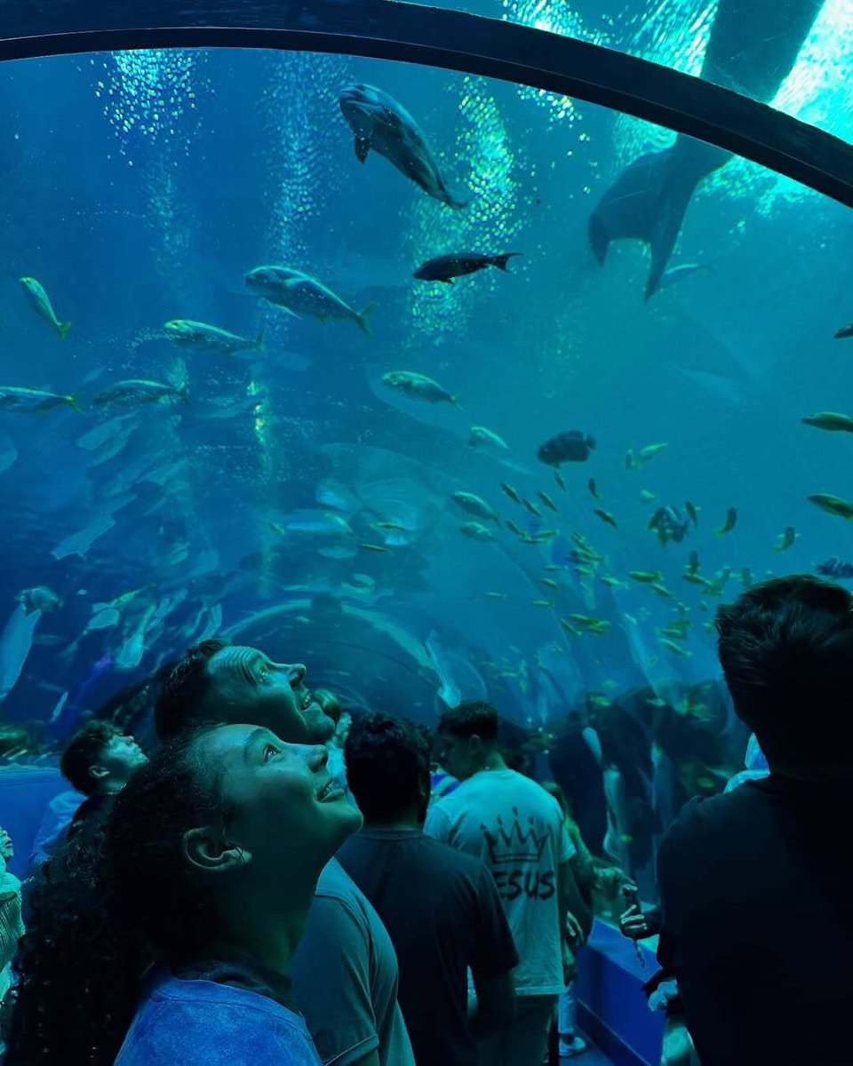 Dive into wonder during your stay 🐠🌊 The Georgia Aquarium offers a world of color, calm, and curiosity — perfect for a midday escape or weekend adventure.

[📸: IG/trulyterah]