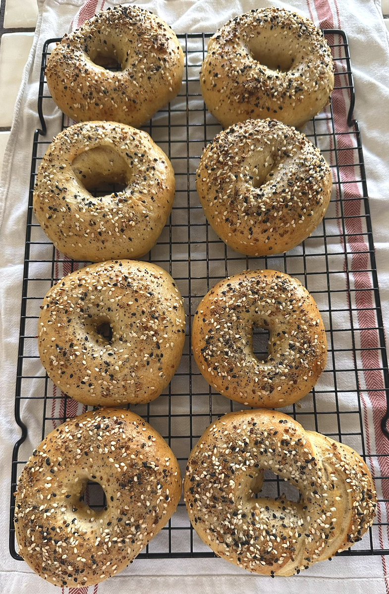 A household favorite: 48-hour, Slow Ferment Sourdough Everything Bagels 🥯

5 ingredients, no BS:

💧275g Water
🌾500g King Arthur Organic, Unbleached Bread Flour
🫙125g Active Sourdough Starter
🍯10g Cane Sugar
🧂18g <a href="/VeraSaltCo/">Vera Salt</a> Fine Spring Salt (always!)