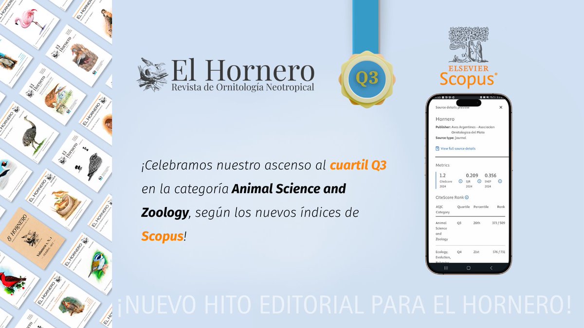 Departamento Científico · Aves Argentinas (@cienciaaves) on Twitter photo 🎉 El Hornero has been promoted to Q3 in Animal Science and Zoology according to Scopus! Since 2019, we've tripled our articles and citations, climbing 14 positions among Argentine scientific journals. A collective achievement driven by editors <a href="/SERGIOLAMBERTUC/">Sergio Lambertucci</a>, authors & readers 🎉 El Hornero has been promoted to Q3 in Animal Science and Zoology according to Scopus! Since 2019, we've tripled our articles and citations, climbing 14 positions among Argentine scientific journals. A collective achievement driven by editors <a href="/SERGIOLAMBERTUC/">Sergio Lambertucci</a>, authors & readers