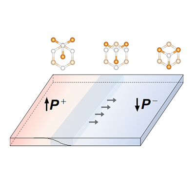PhysRevLett's tweet image. Polarization reversal in sliding ferroelectrics relies on symmetry-breaking domain walls and the tensorial nature of Born effective charges go.aps.org/44Kmjl6