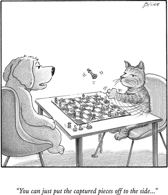 kibitzingpatzer's tweet image. Chess joke of the day.