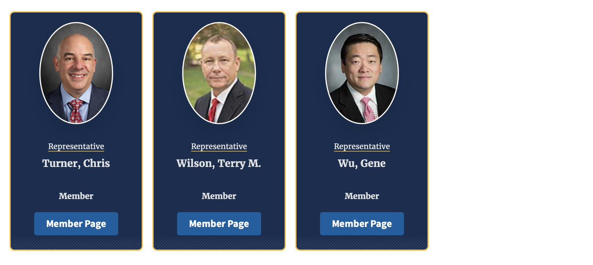 MelindaAkowski's tweet image. If this is our committee on redistricting. I’m thinking we may be better off if the dems break quorum. I do not see one trusted America First Representative on this committee