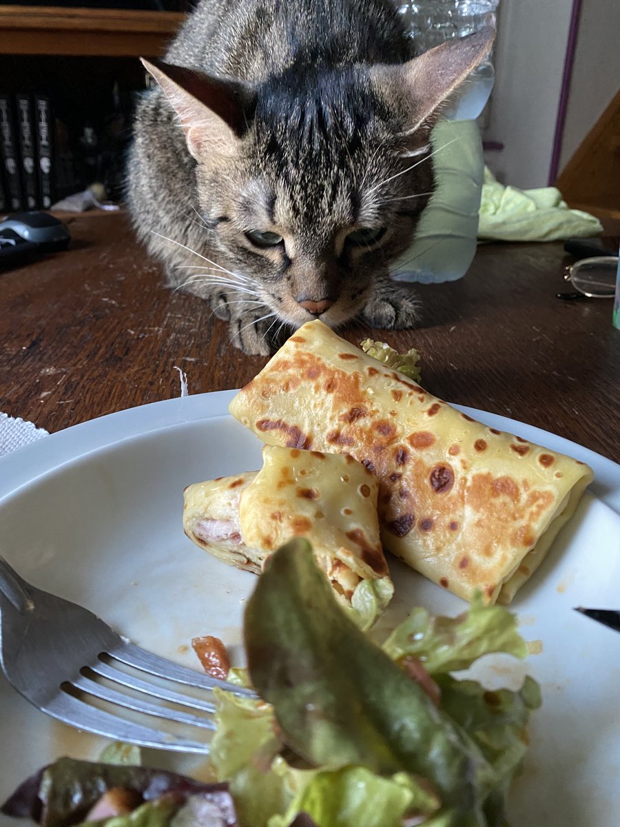 lokimimii's tweet image. toi aussi tu veux des crêpes au jambon ?