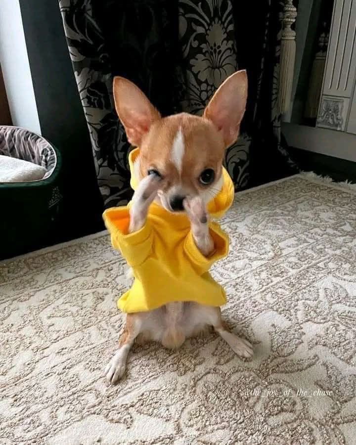 vlad (@rambybamby) on Twitter photo 