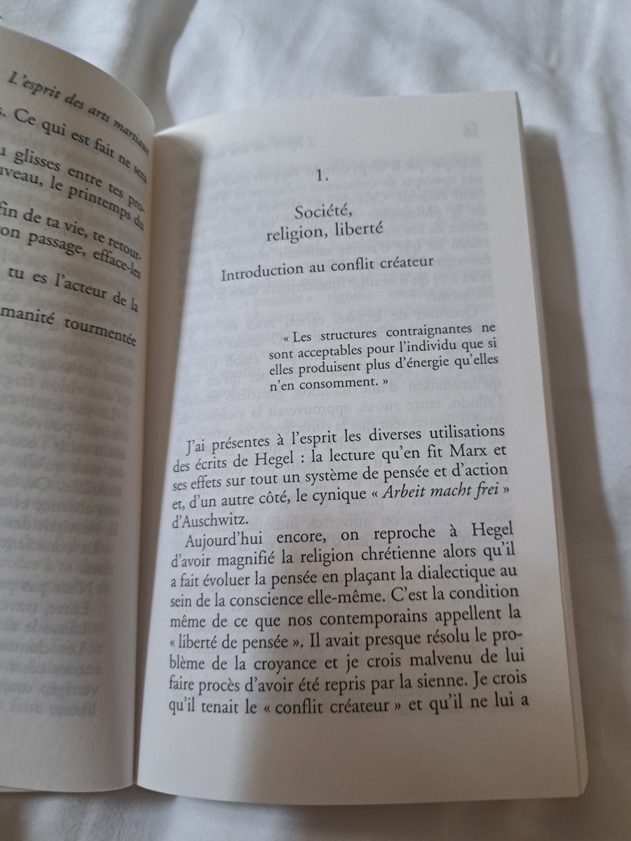 OisinFagan's tweet image. I bought a (French) book about martial arts and the first chapter is about Hegel and Marx 😭