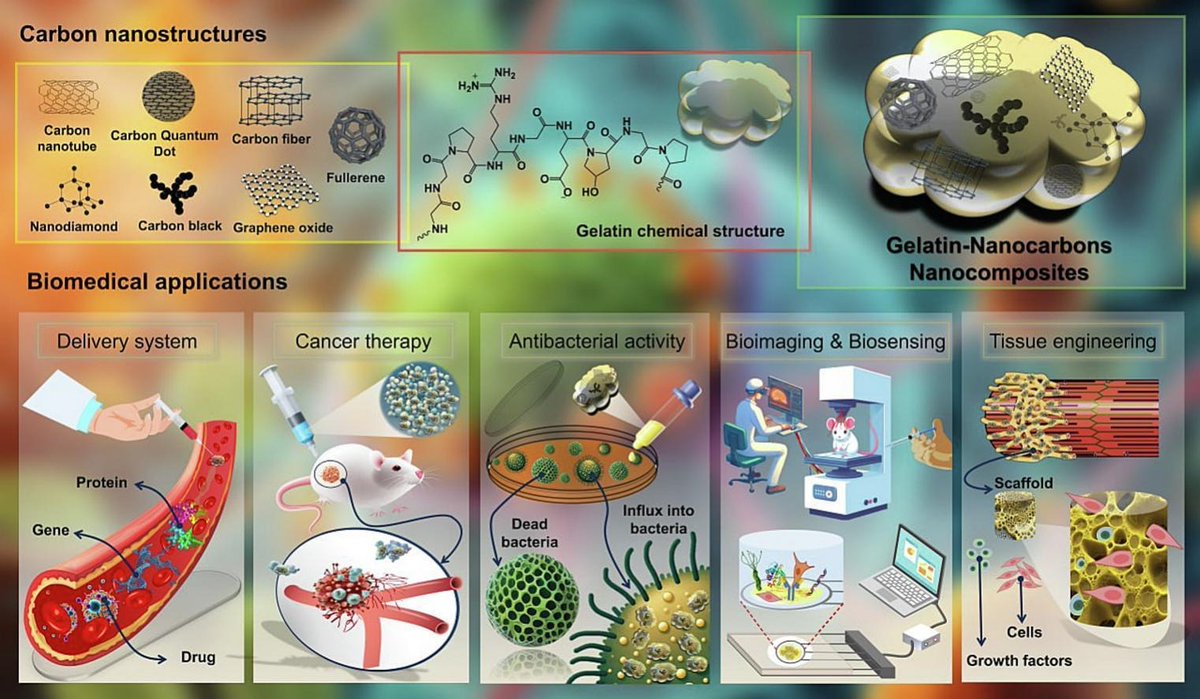 ADDReditors's tweet image. ADDR 50 days' free access:Gelatin-integrated carbon nanomaterials in nanomedicine: From biosensing and bioprinting to tissue engineering and other biomedical applications.
By Ali Maleki & coworkers @iust_iran
#CarbonNanomaterial #bioprinting #biosensing
kwnsfk27.r.eu-west-1.awstrack.me/L0/https:%2F%2…