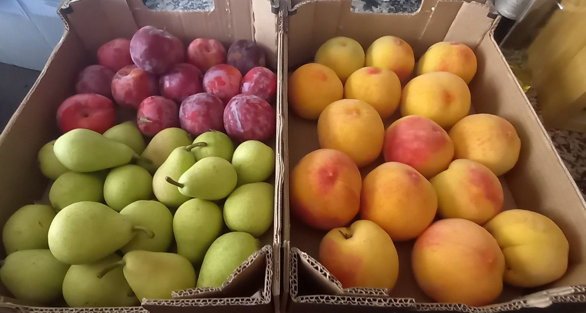 No em cansaré de dir-ho. Quina meravella de productes!!! Tomàquets cherry de @tomaquetpremium que són com llaminadures no pots parar i menjar-los. Pollastre de pages del monseny espectacular i que dir de l'excel·lent fruita de <a href="/RFruita/">Ramon de la Fruita</a> tot repartit puntuals per <a href="/sangcatalana/">Sangcatalana</a>