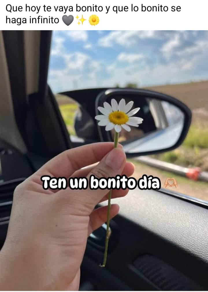 abby7n7's tweet photo. A veces, un gesto sencillo como una flor puede recordarnos que lo bonito está en lo simple. 🌼 Que hoy encuentres motivos para sonreír, incluso en los detalles más pequeños. 💛✨ https://t.co/8hfq0HvB7T
