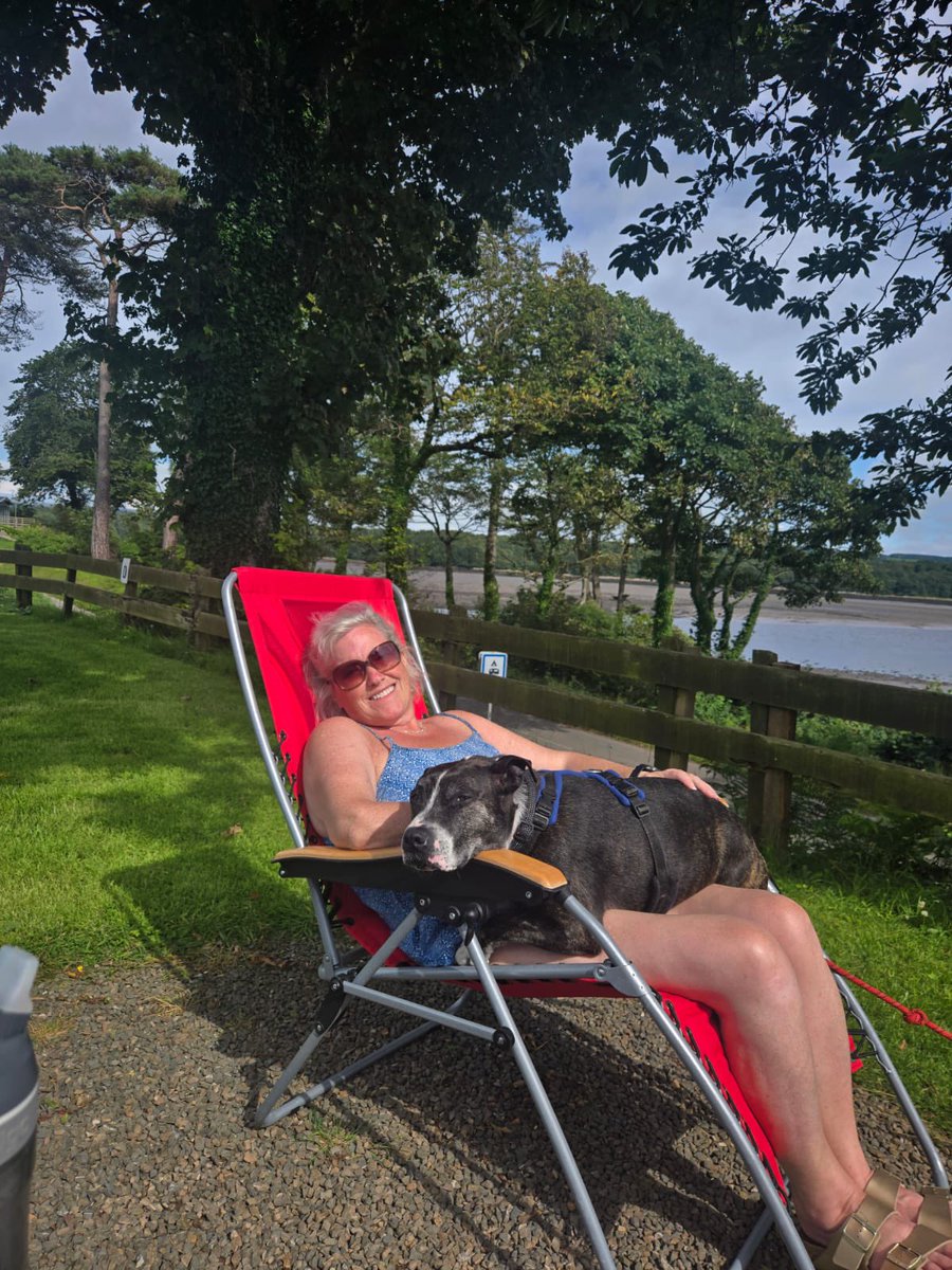 orlafer's tweet image. Bliss