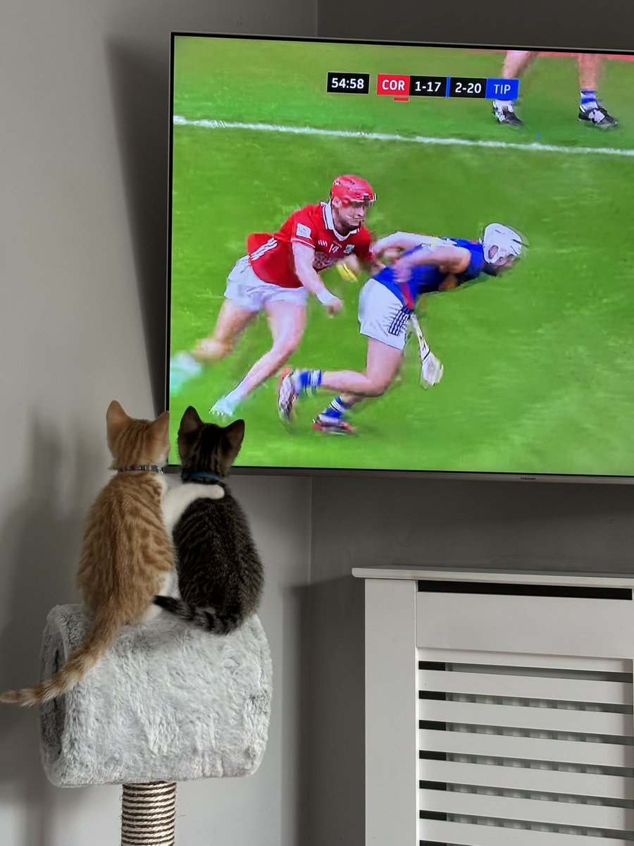 Great to see the Cats appreciating Tipps outstanding performance 👏🏻#Tipperary #CorkvTipperary
