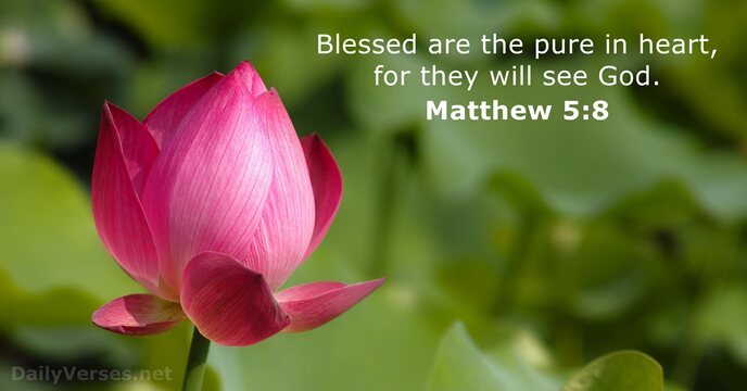 AnthonySpeciale's tweet image. Want to truly see God? Start with your heart. Clean hands may impress people… but a pure heart moves heaven. 💛

thespecialefoundation.org/post/a-promise…

#Matthew58 #PureInHeart #KingdomLiving #FaithOverFlesh #JesusFirst #HeartCheck #ChristianLiving #WalkInTheLight