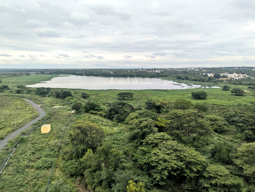 siri_mysuru's tweet image. Green and serene. 
#CandidMysuru