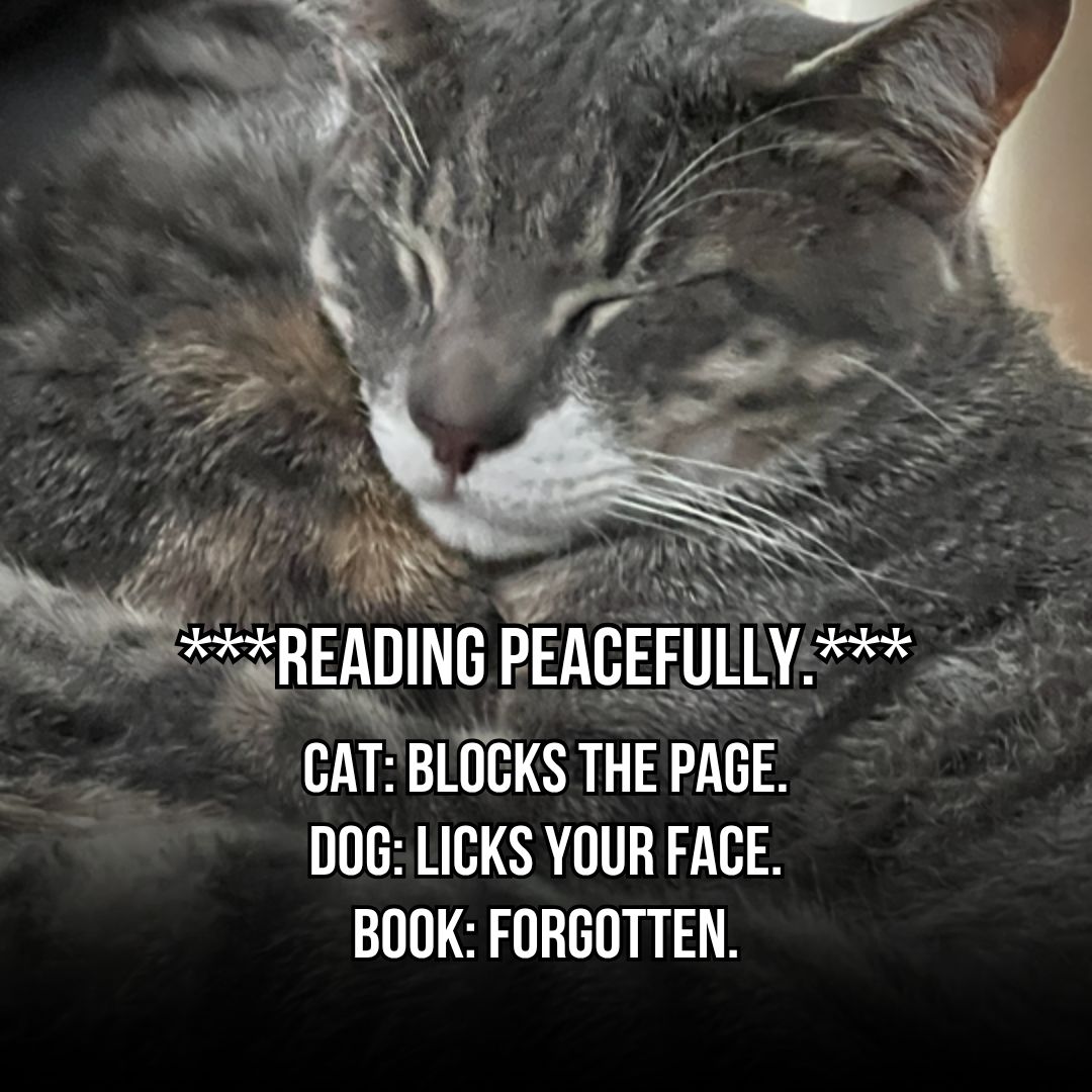 JohnStampBooks's tweet image. Peter doesn't understand the importance of a good book.
shorturl.at/fijZ7
#booktube #booktwitter #writerslift #DeepCutBooks #READERS #BookTok #writingcommmunity #mustread #booklovers #book #bookrecommendations #action #crime #NCIS
