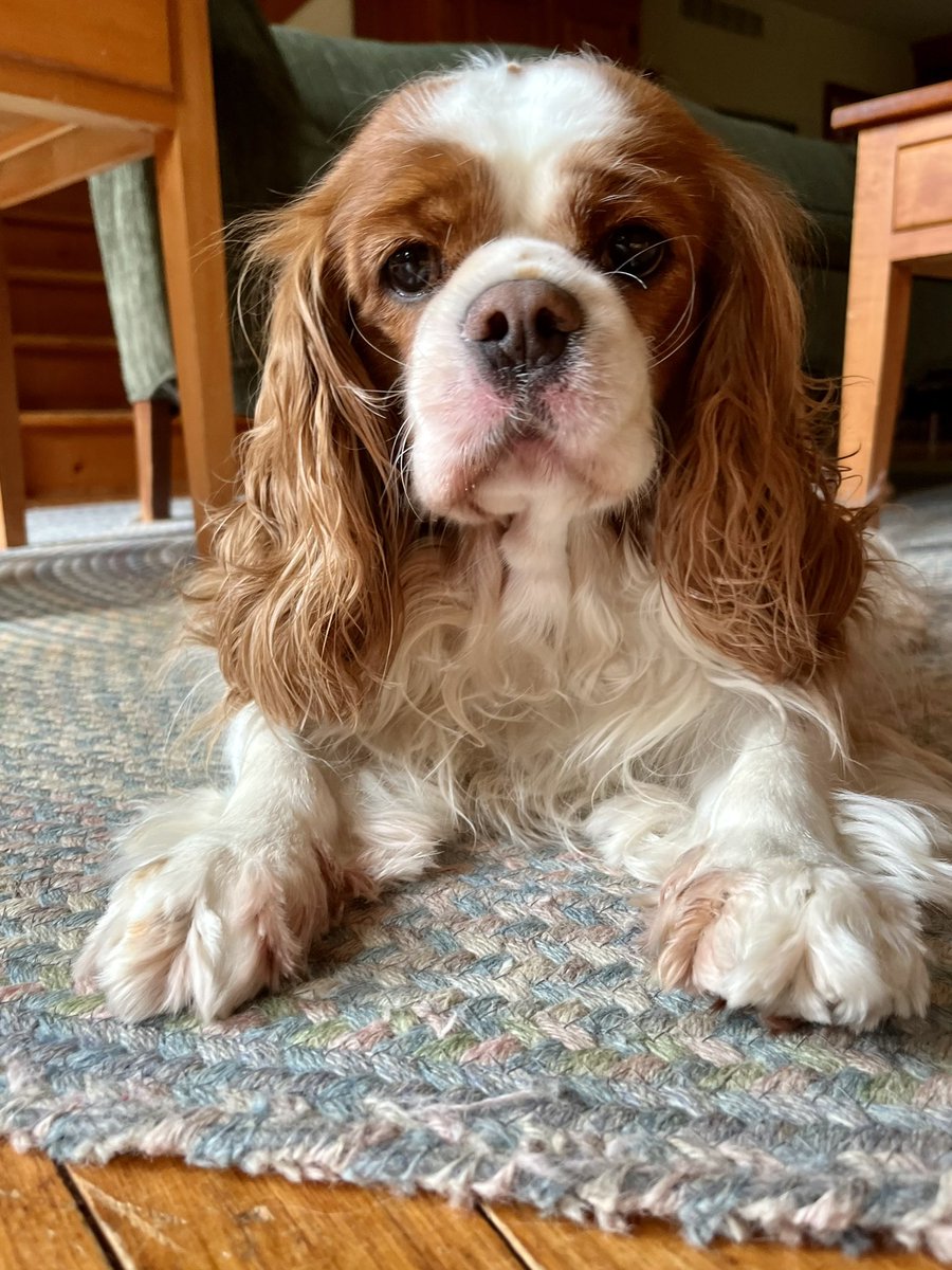 Melissa Ostrom tweet media