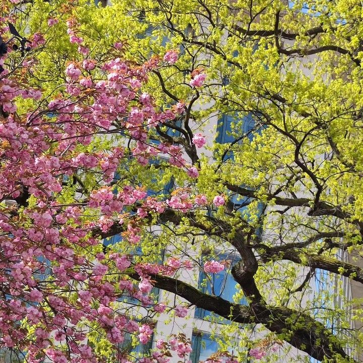 𖦹🍀୭˚ tweet media