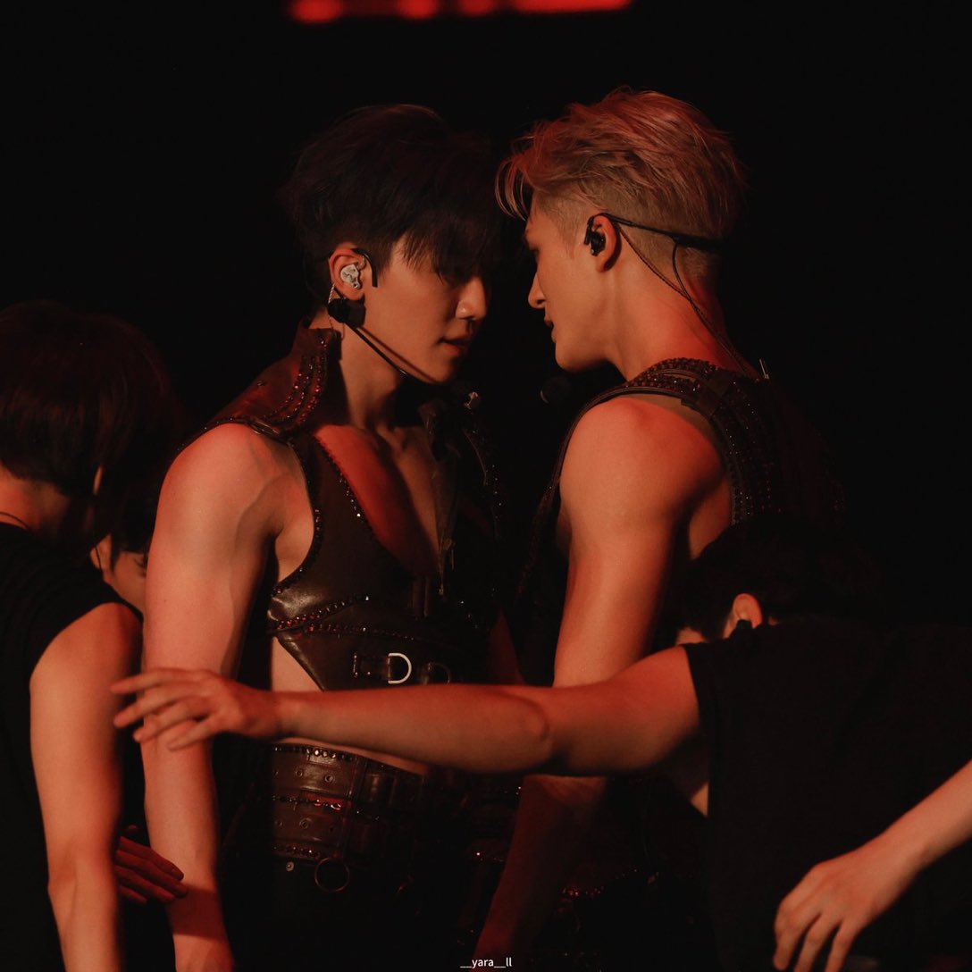 what in the yaoi #nomin