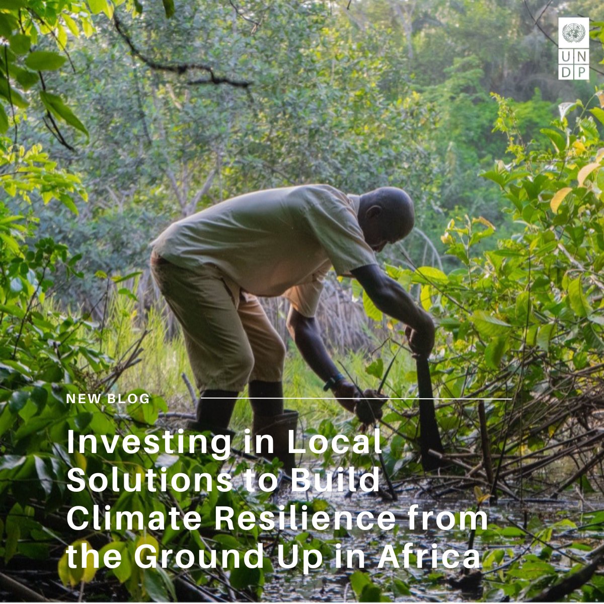 UNDP_SDGFinance's tweet image. African SMEs are delivering climate solutions—but most still struggle to access finance. @UNDP’s new initiative connects local enterprises with capital to scale impact across six countries. Read more: sdgfinance.undp.org/news-events/in…