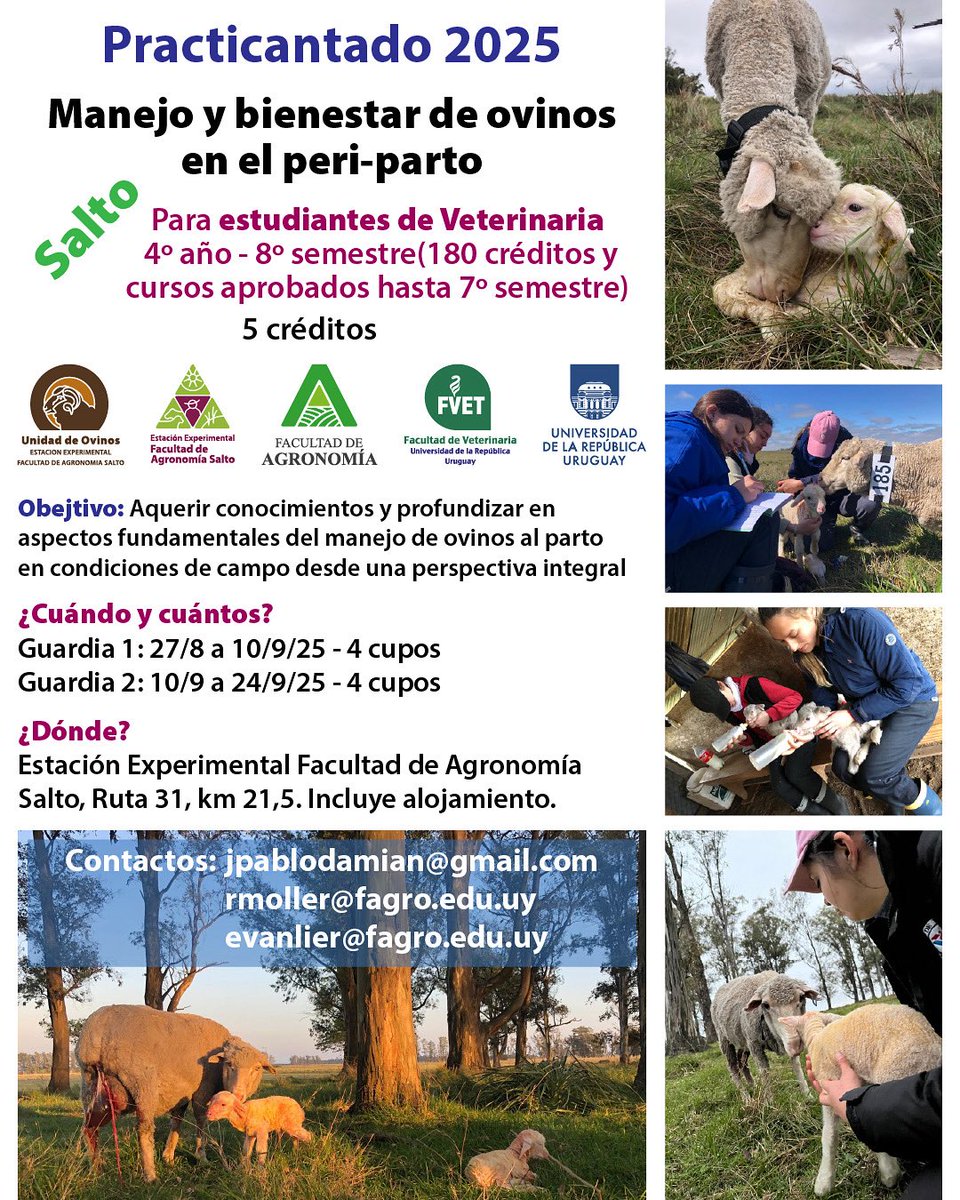 Elize van Lier (@elizevanlier) on Twitter photo 📢 ‼️Atención estudiantes de Veterinaria ‼️
Practicantado de Guardia de Partos en <a href="/EEFAS_Fagro/">EEFAS</a>
Oportunidad especial para aprender haciendo
Atender la oveja al parto y sus crías
Manejo del recién nacido
Escríbanos 📩
<a href="/FagroUdelar/">Facultad Agronomía</a> <a href="/fvetuy/">Veterinaria UDELAR</a> 📢 ‼️Atención estudiantes de Veterinaria ‼️
Practicantado de Guardia de Partos en <a href="/EEFAS_Fagro/">EEFAS</a>
Oportunidad especial para aprender haciendo
Atender la oveja al parto y sus crías
Manejo del recién nacido
Escríbanos 📩
<a href="/FagroUdelar/">Facultad Agronomía</a> <a href="/fvetuy/">Veterinaria UDELAR</a>