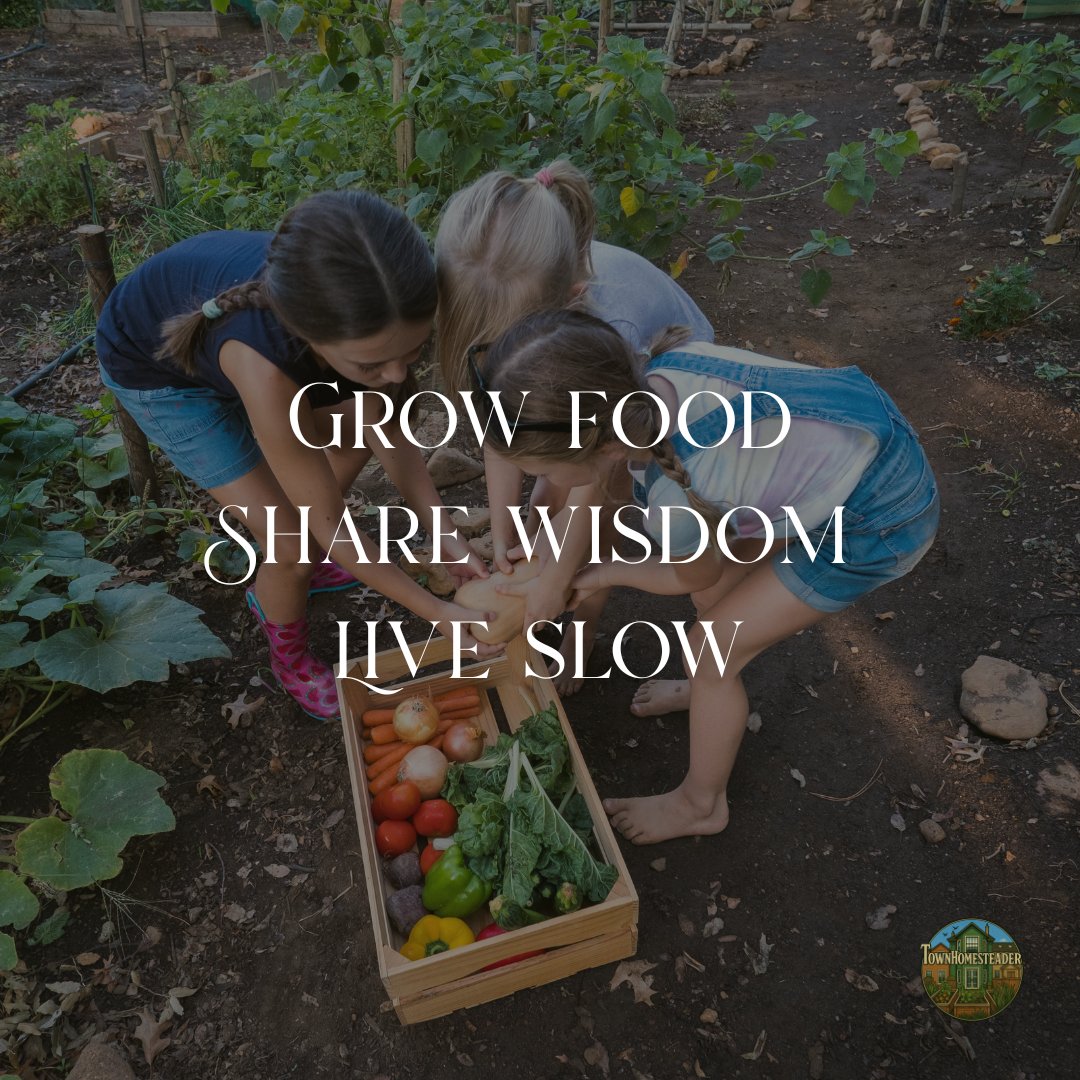 townhomesteader's tweet image. Grow food. Share wisdom. Live slow.
This is the rhythm Iβm learning to follow.
Itβs not about having a perfect setup or acres of land, itβs about showing up for the little things. Planting what you can. Learning as you go. And finding joy in the process, not just the harvest.