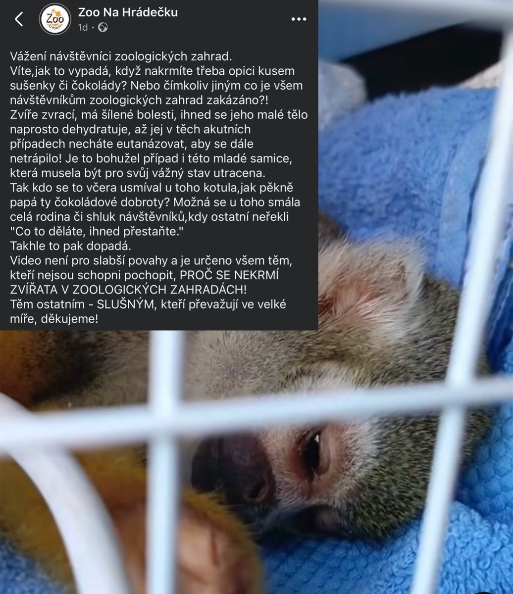 Patrik tweet media