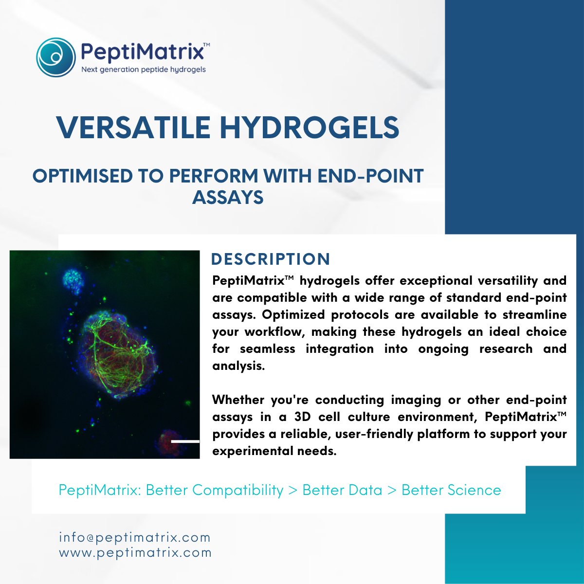 PeptiMatrix's tweet image. PeptiMatrix™ hydrogels = seamless integration into your workflow.
Compatible with standard end-point assays. Optimized for results.
Better Compatibility > Better Data > Better Science
🌐 peptimatrix.com
📧 info@peptimatrix.com
#biotech #lifesciences #hydrogels #cells