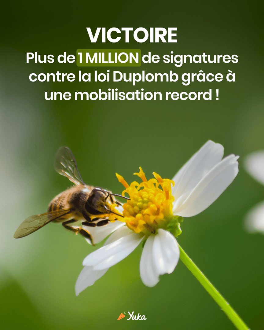 💥 1 MILLION DE SIGNATURES ! 💥

La pétition contre la loi Duplomb vient de franchir un cap symbolique, quelques jours à peine après son lancement il y a quelques jours.

En atteignant 500 000 signatures, elle a permis qu’un débat puisse être inscrit à l’ordre du jour de