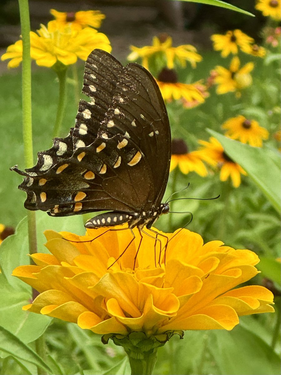 Collabor8tor's tweet image. 