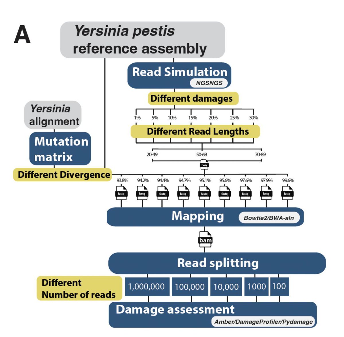strnr's tweet image. The Impact of Reference Genome Divergence on Ancient DNA Damage Detection in Metagenomic Contexts biorxiv.org/content/10.110… 🧬🖥️🧪 github.com/BenjaminGuinet…