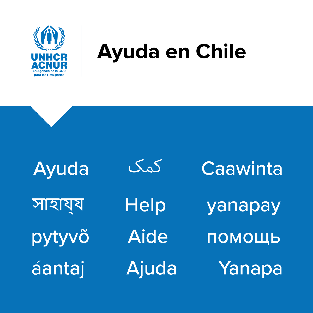 ACNURConoSur's tweet photo. Ante limitaciones de financiamiento, #ACNUR ha cerrado su Oficina en Arica, y hará lo propio con la Oficina en Iquique.

Sin embargo, nuestro compromiso con las personas desplazadas permanece intacto.

Consulta nuestros canales de atención en Chile: https://t.co/Kxatp8hnco https://t.co/YDfJVNxun2