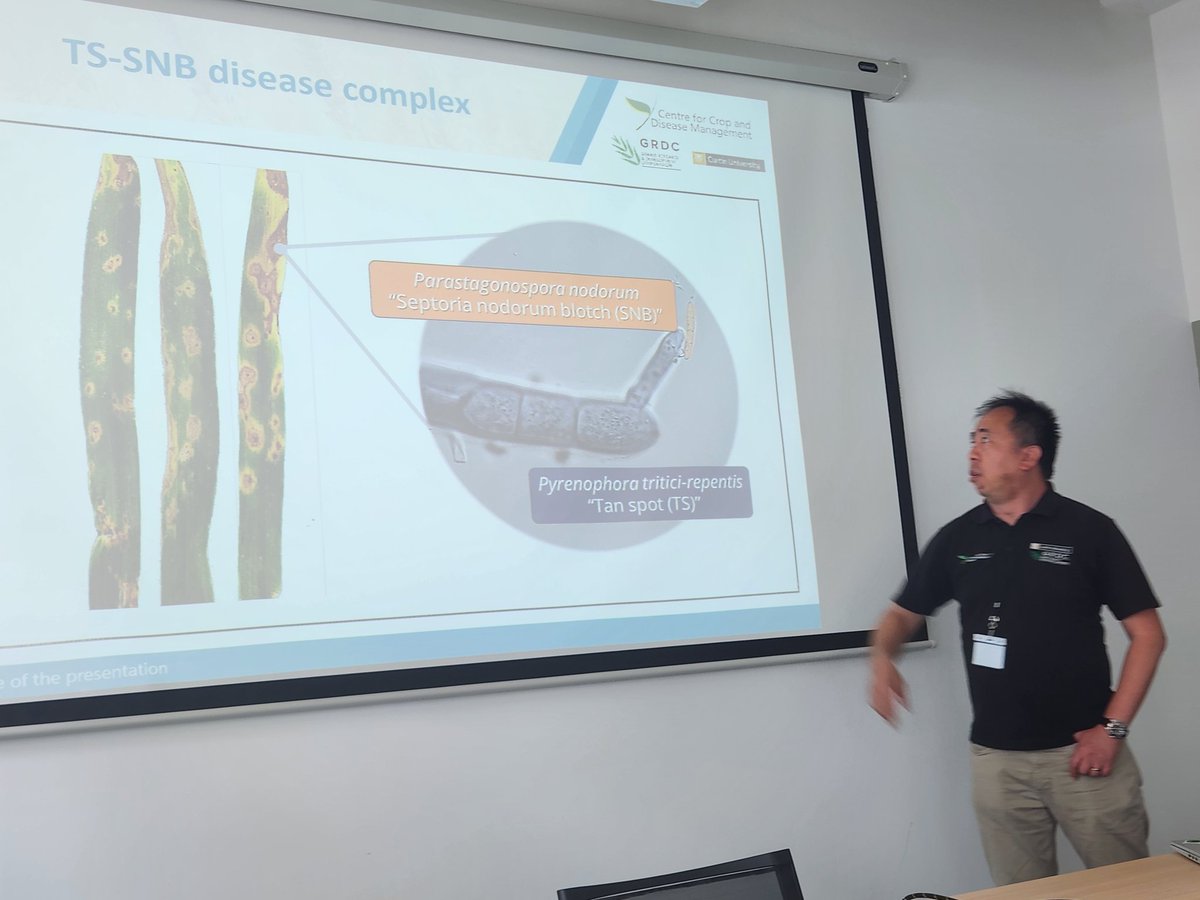 Callum Verdonk (@callumverdonk) on Twitter photo Today at INRAe: <a href="/karchuntan/">KC ๐จโ๐ฌ๐พ๐๐ฆ๐บ</a> discusses how co-infection by necrotrophic fungi BREAKS DOWN disease resistance in wheat <a href="/INRAE_France/">INRAE</a> <a href="/ifudal/">Isabelle Fudal</a> <a href="/theCCDM/">CCDM</a> Today at INRAe: <a href="/karchuntan/">KC ๐จโ๐ฌ๐พ๐๐ฆ๐บ</a> discusses how co-infection by necrotrophic fungi BREAKS DOWN disease resistance in wheat <a href="/INRAE_France/">INRAE</a> <a href="/ifudal/">Isabelle Fudal</a> <a href="/theCCDM/">CCDM</a>