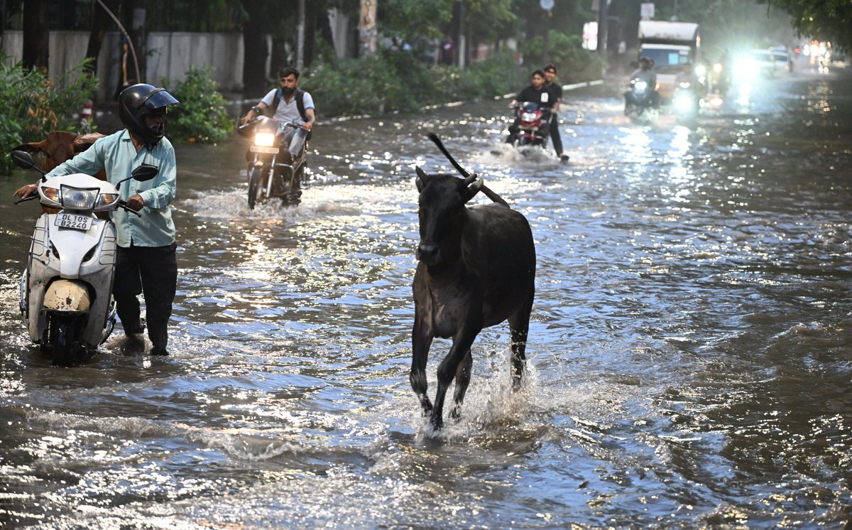 Sushil_Verma9's tweet image. Water logging during a spell of monsoon rain at Delhi University in New Delhi on Monday @THNewDelhi