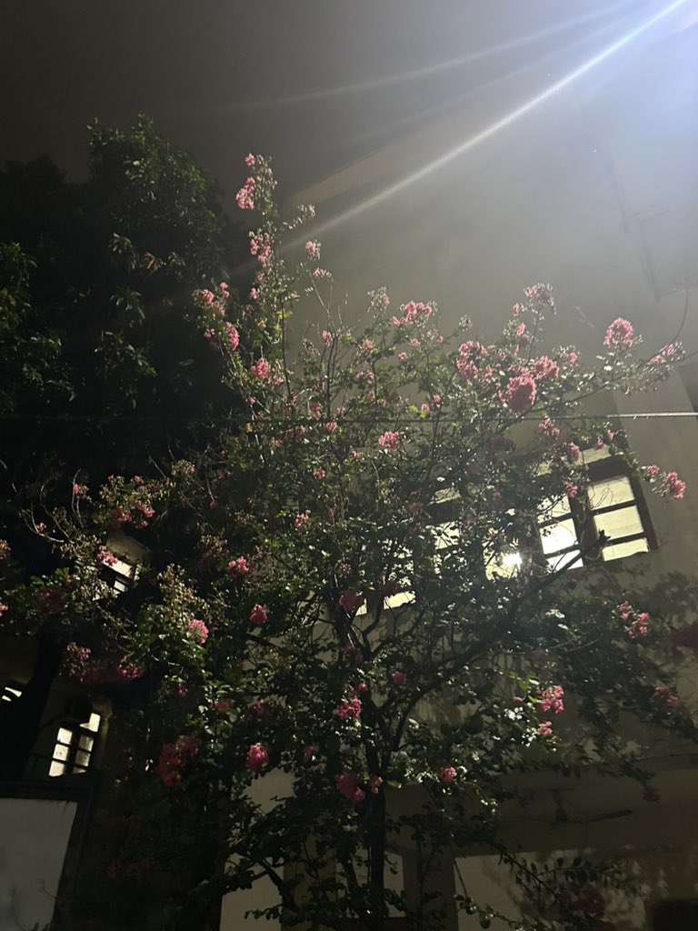 Post-Baarish