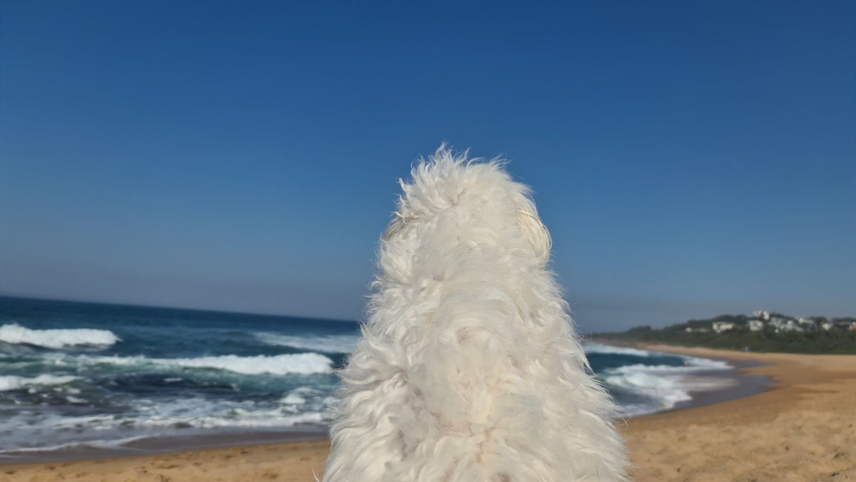 LiefdeLM's tweet image. "...I ja sam tako sedeo,
mislio i voleo
ceo dan sam sedeo,
mislio i voleo."