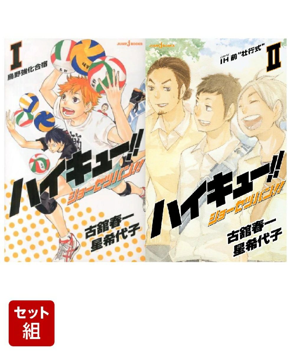 ハイキュー！！　リミックス　ショーセツバン！！magazine2024まとめ売り ハイキュー!! ショーセツバン!! Ⅳ｜書籍情報｜JUMP j BOOKS｜集英社