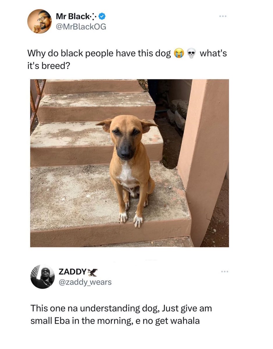 🤣🤣🤣
