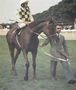 In 1973 &amp; 1974 the 🌟filly Dahlia won the King George VI &amp; Queen Elizabeth Stakes at 3 &amp; 4 years old respectively for French-based trainer Maurice Zilber &amp; owner Nelson Bunker Hunt. Bill Pyers won by 6 lengths in '73 &amp; Lester Piggott won by 2.5 lengths in '74. 🏇#RacingMemories
