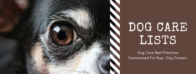 Check out the latest article in my newsletter: 3 Tips About Dog Nail Grinders - The Dog Care Lists Newsletter Issue #14 linkedin.com/pulse/3-tips-d… via <a href="/LinkedIn/">LinkedIn</a>