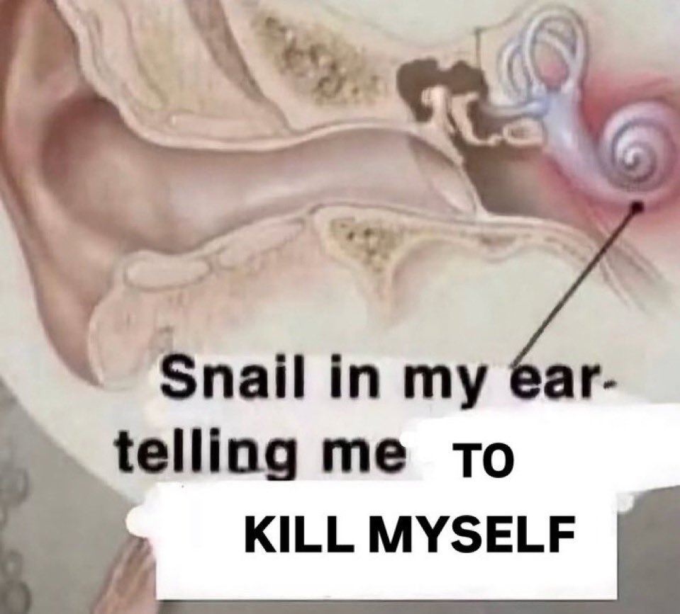 I’m the snail