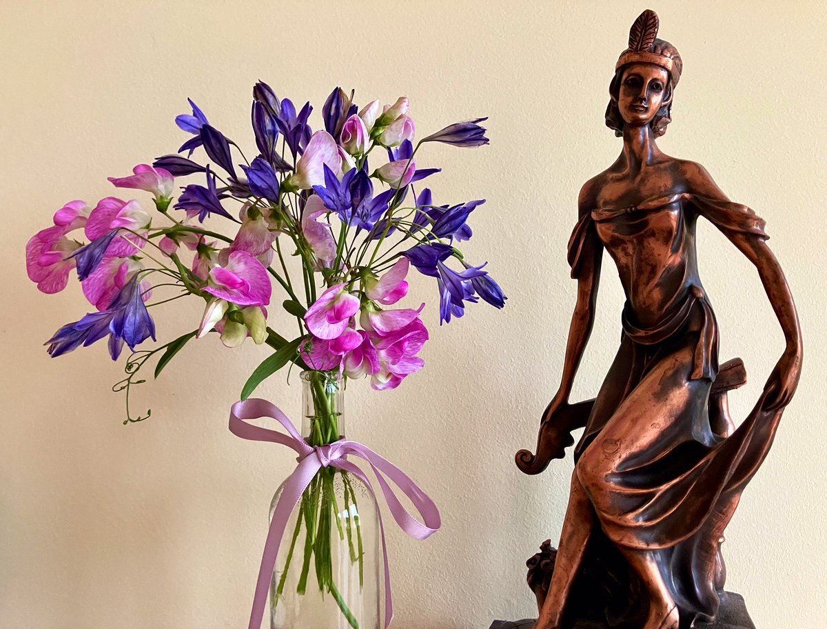 A few garden rescues… 

It’s a dreich Monday in the Scottish Highlands