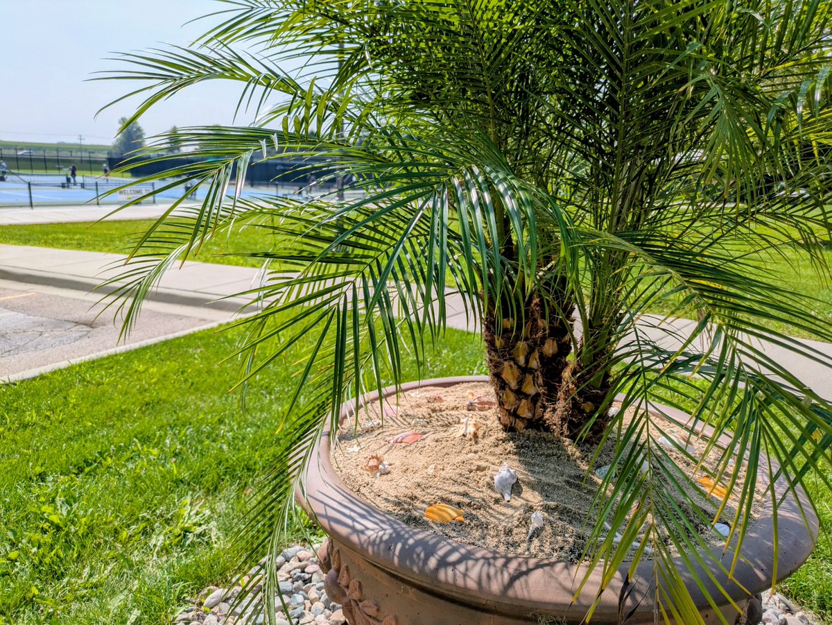 The Racket Club (@theracketclubcl) on Twitter photo 