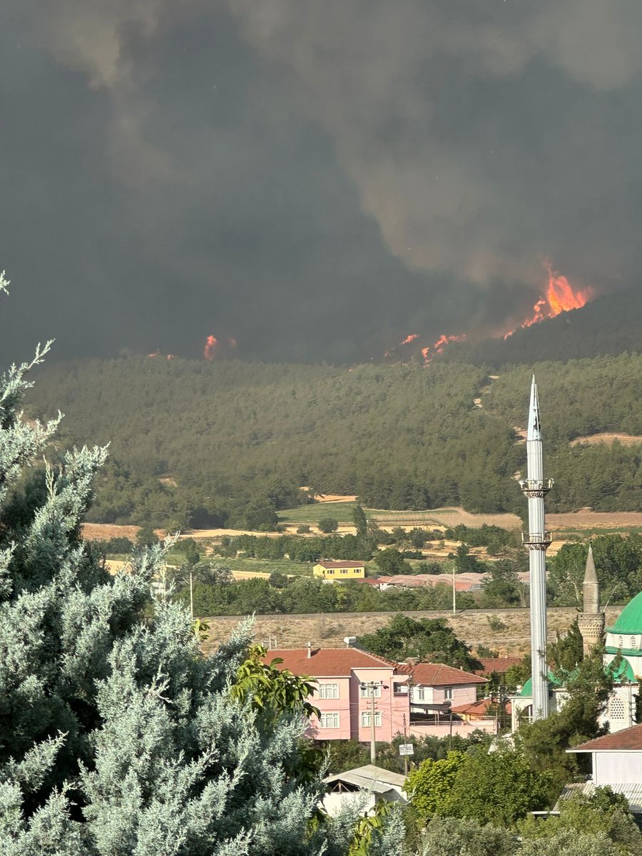 BusegulKaynar's tweet photo. #yangın #sakarya #yardım anlıktır lütfen destek gönderin lütfen https://t.co/Q9ExBA8Dh8