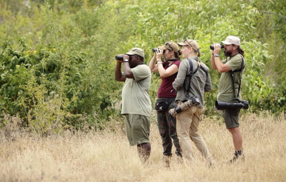 BirdWatchingZnz's tweet photo. So many reasons birding Zanzibar 

#Birdingtanzania #birdwatchingsafaris #Worldwaterbirdcount, #birdwatchingzanzibar #birdlifeinternational, #africabirding #naturetanzania #natureuganda #naturekenya #birdsoftheworld #wildbirds #animalsandbirds #eastafricabirds #worldbirdguide #rspb #naturephotography #birdlifeUK #Africanbirdclub #birdlifesouthafrica #birdlifenertherland #birdlifedenmark