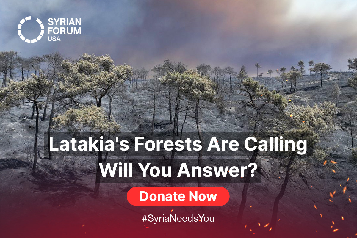 SyrianForumUSA's tweet image. Wildfires have devastated #Latakia, leaving a critical ecosystem on the brink.
More than 16,000 hectares burned means communities and wildlife face an emergency.
Your $10 plants 5 trees, bringing vital native species back to areas like Kessab and Jabal al-Turkman. Every tree…